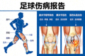 足球伤病报告医学示意图